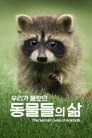 시즌 1