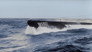 The Battle of the Atlantic