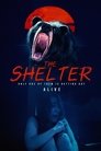 Imagen The Shelter (2024)