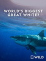 National Geographic: Worlds Biggest Great White Shark