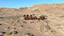 The Ghosts of Skeleton Coast