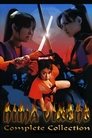 Seria Ninja Vixens