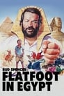 مشاهدة فيلم Flatfoot in Egypt 1980 مترجم أون لاين بجودة عالية