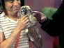 Image Chaves