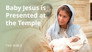 Luke 2 | The Christ Child Is Presented at the Temple