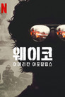 리미티드 시리즈