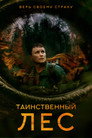 Постер: Таинственный лес