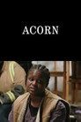 Acorn
