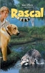 2-Rascal