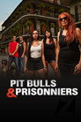 Pitbulls et prisonniers (2009) - Affiche