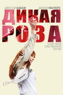 Постер: Wild Rose
