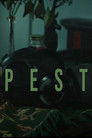 Pest