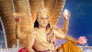 How Will Vinta Arrange Non-Vegetarian Food?