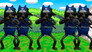 Ninja Cat Marco!