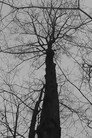 Untitled - [Into The Wild]