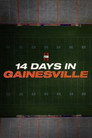 14 Days in Gainesville