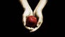 Fan Fiction Story Time - December 2025 #1 - Forbiden Fruit Ch. 4 - 6