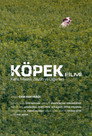 Dog Movie