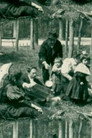 Enfants au bois