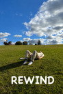 Rewind