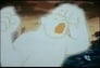 Imagen cuentos-de-la-cripta-18786-episode-1-season-1.jpg