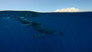 The Pacific