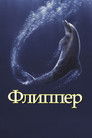 Постер: Flipper