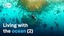 Treasure islands in the Pacific (2/2)