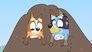 Bluey 3x36
