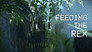Feeding the Rex