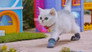 Socks for Kittens