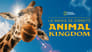 Au c?ur de Disney's Animal Kingdom en Streaming gratuit sans limite | YouWatch Séries poster .5