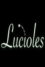 Lucioles