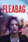 Fleabag Poster