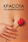 Постер: American Beauty