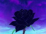 Life on a flower
