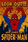 Spider-Man Episode Rating Graph poster