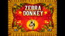 Zebra Donkey