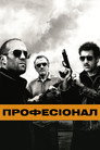 Професіонал