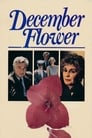 مشاهدة فيلم December Flower 1984 مترجم أون لاين بجودة عالية