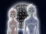 Who? Who Is It?