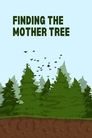 Finding the Mother Tree poster