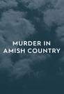 Murder in Amish Country Episode Rating Graph poster