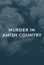 Murder in Amish Country Episode Rating Graph poster