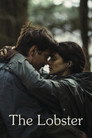 The Lobster