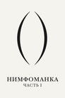 Постер: Nymphomaniac: Vol. I