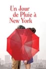 UN JOUR DE PLUIE A NEW-YORK