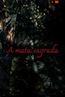 A Mata Sagrada