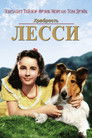 Постер: Courage of Lassie