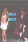 Wild Buck